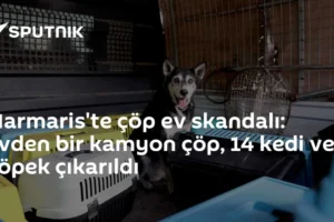 Marmaris'te çöp ev skandalı: Evden bir kamyon çöp, 14 kedi ve 1 köpek çıkarıldı