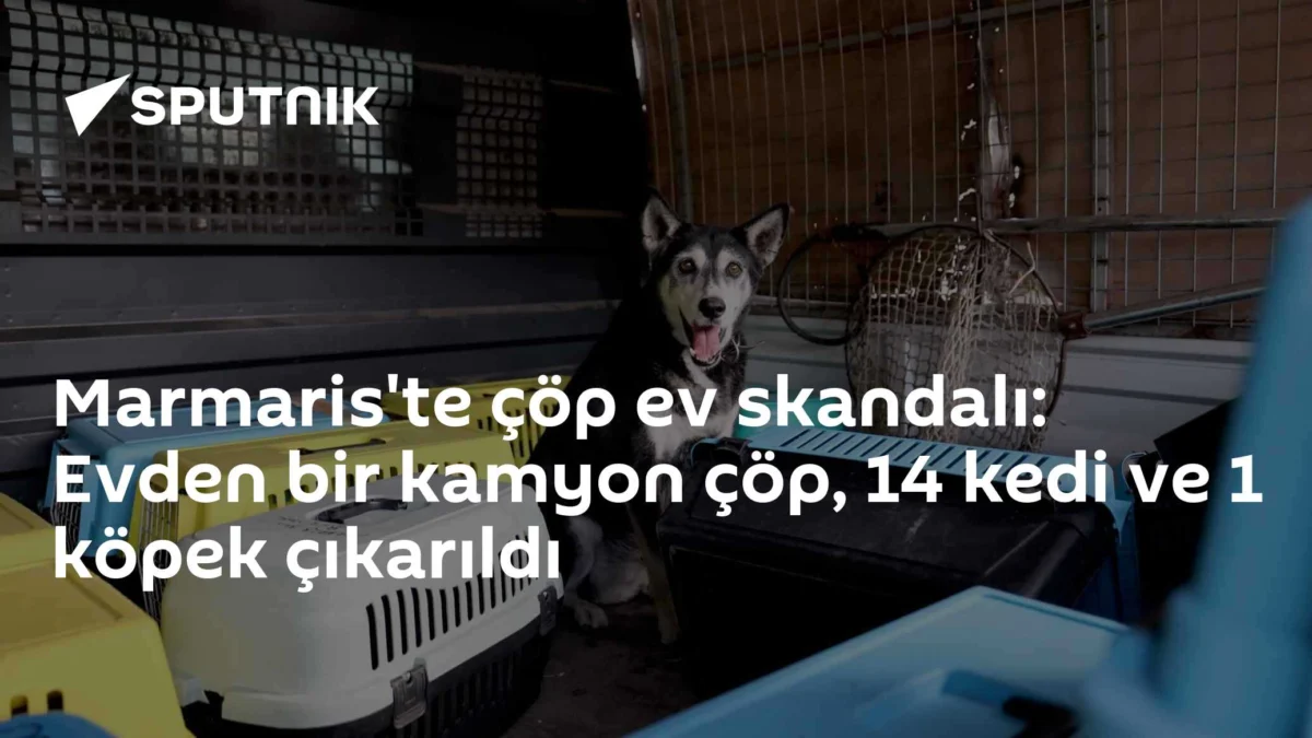 Marmaris'te çöp ev skandalı: Evden bir kamyon çöp, 14 kedi ve 1 köpek çıkarıldı