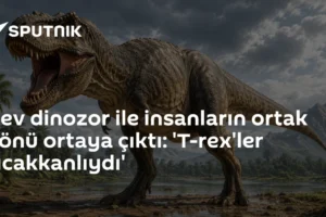 Dev dinozor ile insanların ortak yönü ortaya çıktı: 'T-rex'ler sıcakkanlıydı'