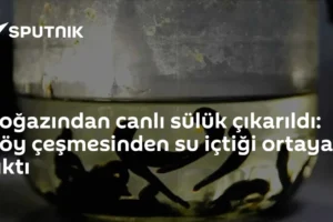 Boğazından canlı sülük çıkarıldı: Köy çeşmesinden su içtiği ortaya çıktı