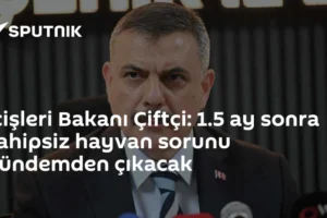 İçişleri Bakanı Çiftçi: 1.5 ay sonra sahipsiz hayvan sorunu gündemden çıkacak