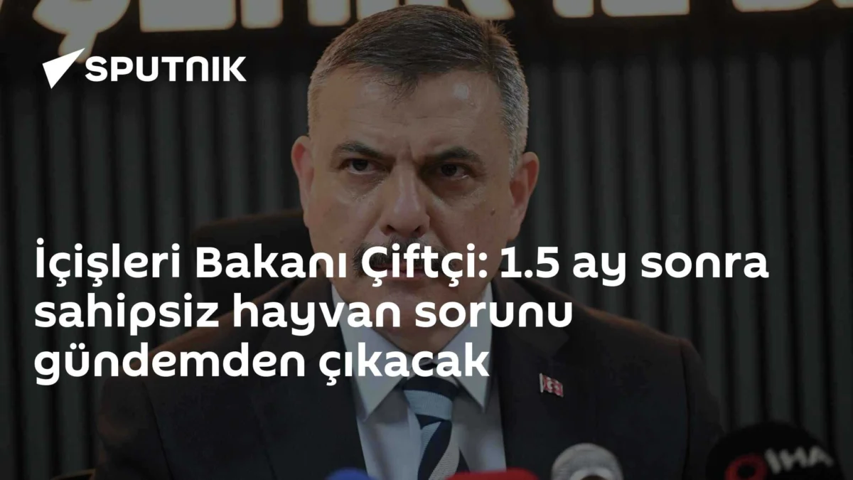 İçişleri Bakanı Çiftçi: 1.5 ay sonra sahipsiz hayvan sorunu gündemden çıkacak