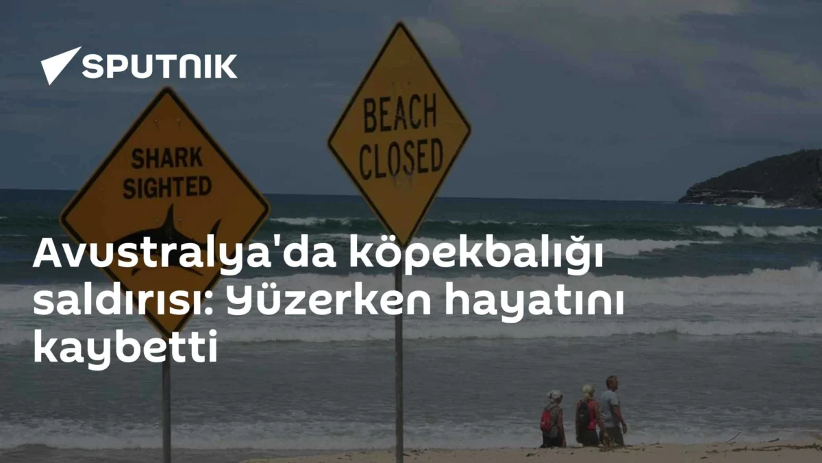 Avustralya'da köpekbalığı saldırısı: Yüzerken hayatını kaybetti