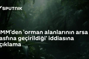 DMM’den 'orman alanlarının arsa vasfına geçirildiği' iddiasına açıklama