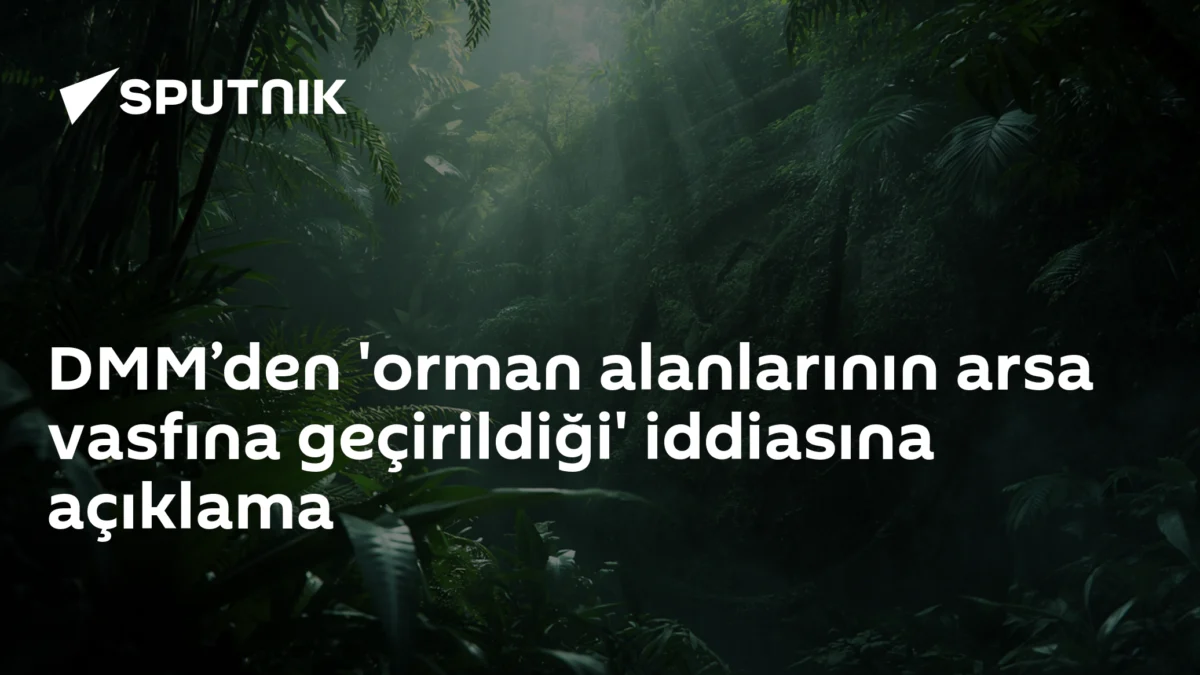 DMM’den 'orman alanlarının arsa vasfına geçirildiği' iddiasına açıklama
