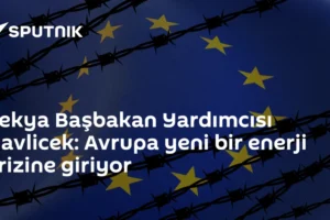 Çekya Başbakan Yardımcısı Havlicek: Avrupa yeni bir enerji krizine giriyor
