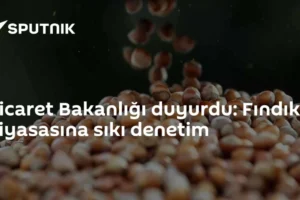 Ticaret Bakanlığı duyurdu: Fındık piyasasına sıkı denetim