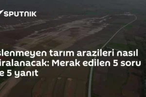 İşlenmeyen tarım arazileri nasıl kiralanacak: Merak edilen 5 soru ve 5 yanıt