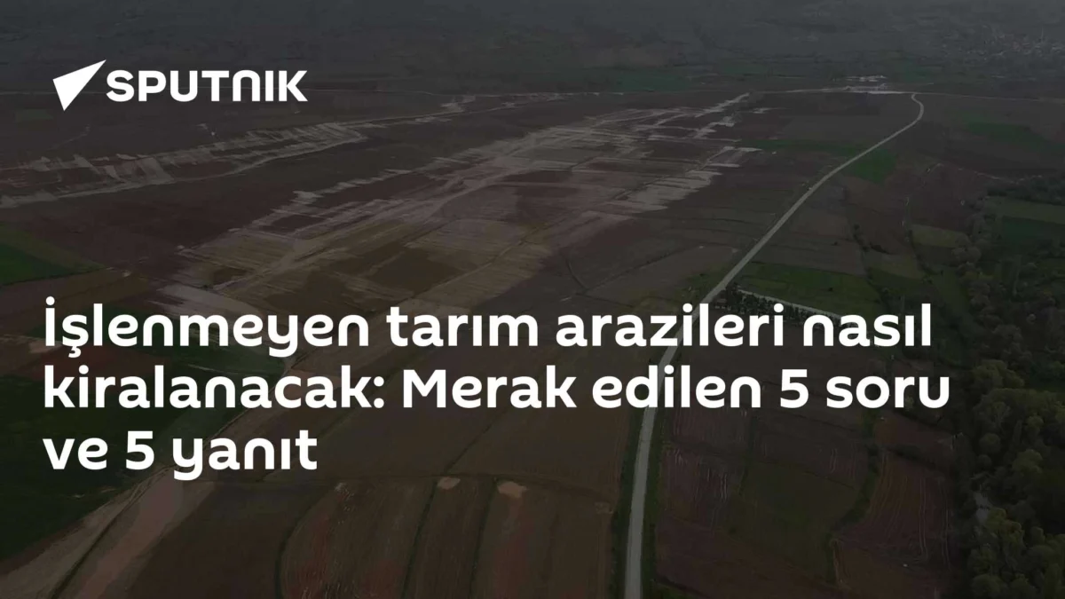 İşlenmeyen tarım arazileri nasıl kiralanacak: Merak edilen 5 soru ve 5 yanıt