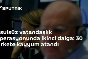 Usulsüz vatandaşlık operasyonunda ikinci dalga: 30 şirkete kayyum atandı