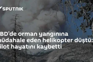 ABD’de orman yangınına müdahale eden helikopter düştü: 2 pilot hayatını kaybetti