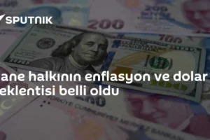 Hane halkının enflasyon ve dolar beklentisi belli oldu