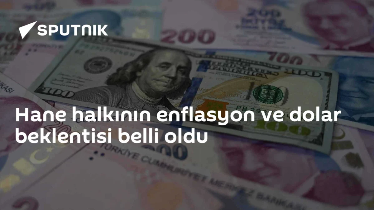 Hane halkının enflasyon ve dolar beklentisi belli oldu