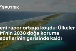 Yeni rapor ortaya koydu: Ülkeler BM'nin 2030 doğa koruma hedeflerinin gerisinde kaldı