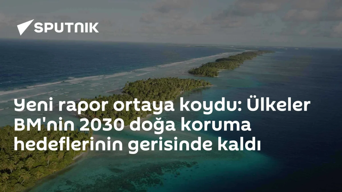 Yeni rapor ortaya koydu: Ülkeler BM'nin 2030 doğa koruma hedeflerinin gerisinde kaldı