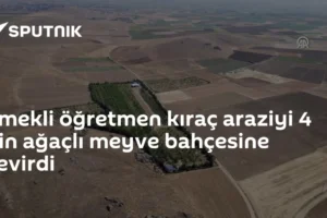 Emekli öğretmen kıraç araziyi 4 bin ağaçlı meyve bahçesine çevirdi