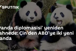 'Panda diplomasisi' yeniden sahnede: Çin'den ABD'ye iki yeni panda