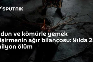 Odun ve kömürle yemek pişirmenin ağır bilançosu: Yılda 2.5 milyon ölüm