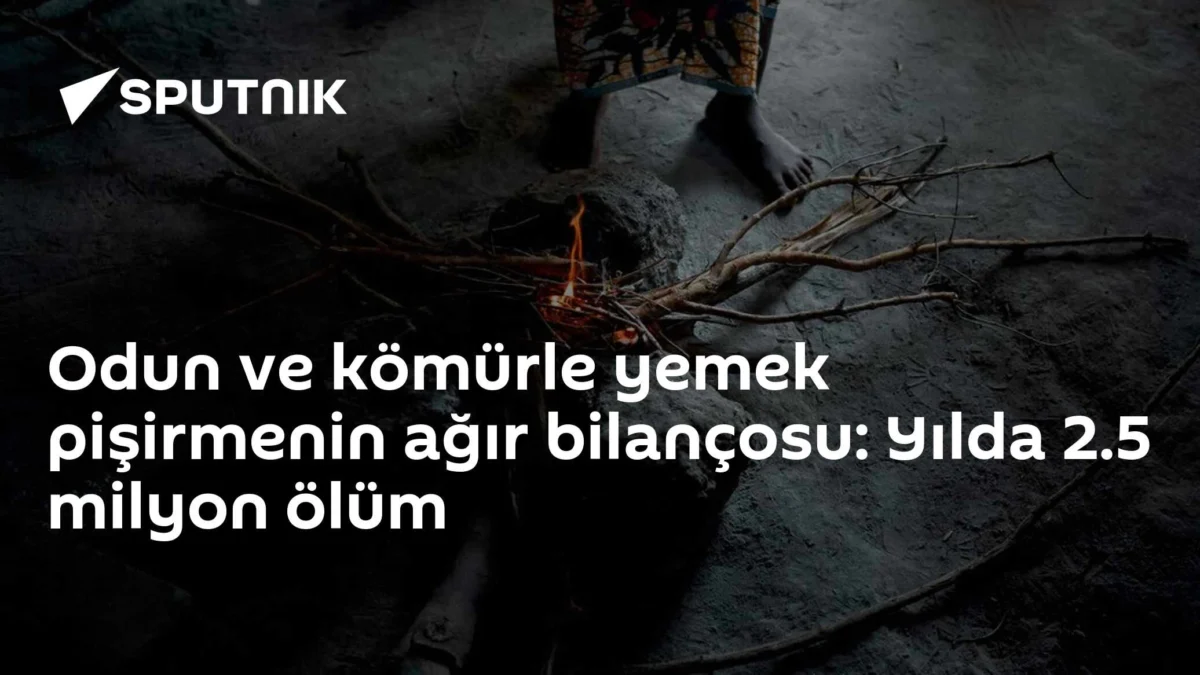 Odun ve kömürle yemek pişirmenin ağır bilançosu: Yılda 2.5 milyon ölüm
