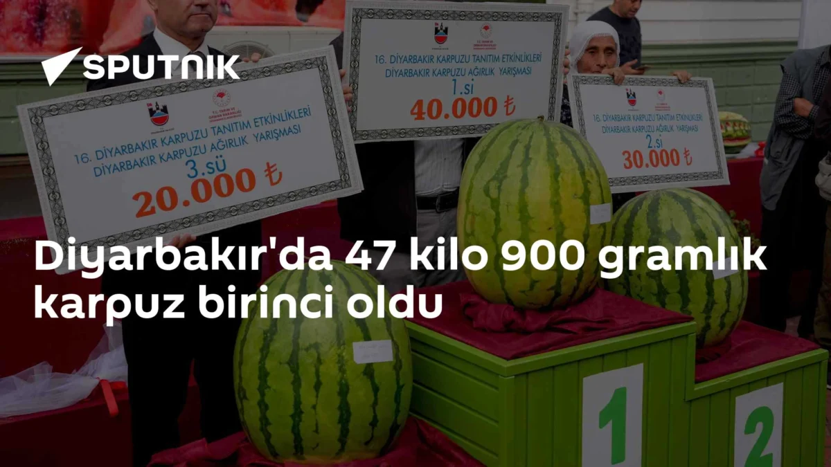 Diyarbakır'da 47 kilo 900 gramlık karpuz birinci oldu