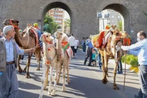 Diyarbakır Karpuz Festivali yarın başlıyor: Program detayları belli oldu!