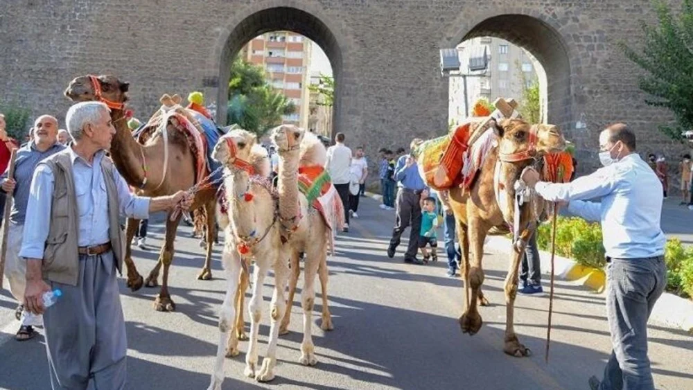 Diyarbakır Karpuz Festivali yarın başlıyor: Program detayları belli oldu!