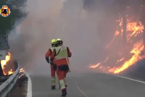 Valensiya bölgesindeki orman yangını 690 hektarı kül etti