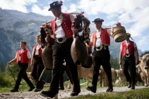 Çiçek taçlı inekler Alp geleneğini Gstaad Züglete festivaline taşıyor