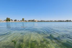 Irak: Suriye’den gelen su miktarı geçen yıla oranla 4 kat arttı