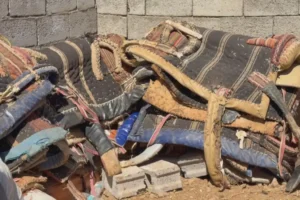 İran sınırında kolberlere ateş açıldı, yük hayvanları öldürüldü