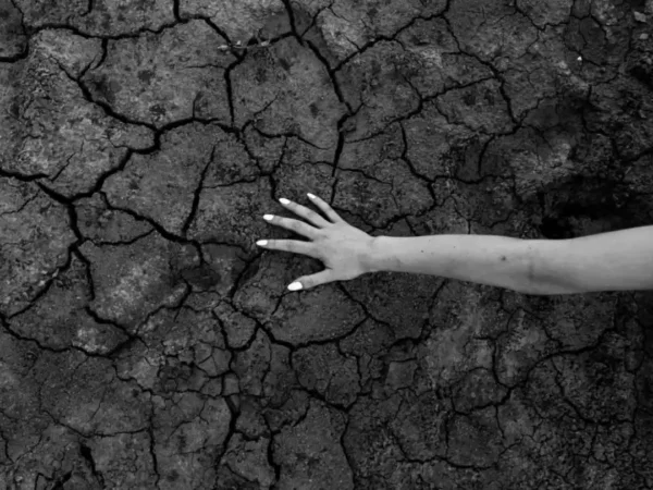 Dünya için alarm: 2100'e kadar yerkürenin yüzde 40'ı kuraklaşabilir