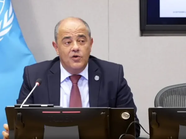 BM, ailelerine destek gönderen 220 milyon göçmen hakkında rapor yayımladı