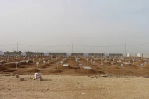 25 Ezidi kurbanın cenazesi kimlik tespitinin ardından ailelerine teslim edilecek