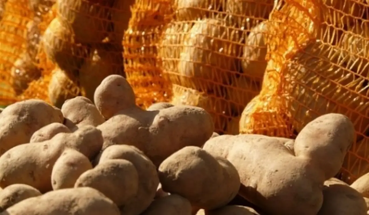 Diyarbakır’da ‘patates yolsuzluğu’