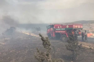 Erzurum'da şimşek çakması sonucu otluk yangını çıktı