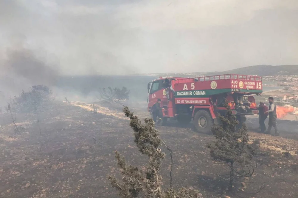 Erzurum'da şimşek çakması sonucu otluk yangını çıktı