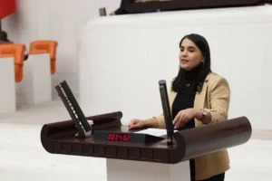 DEM Partili Uysal Aslan’dan Bakan Güler’e soru önergesi: Cizre’deki yangınlar ve Nerdüş Barajı Meclis gündeminde