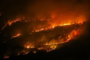 ABD'de orman yangınına müdahale ederken düşen helikopterin 2 pilotu yaşamını yitirdi