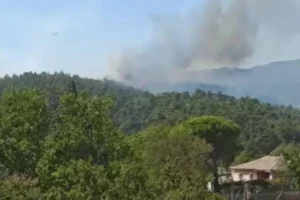 Çankırı'da çıkan orman yangınına müdahale sürüyor