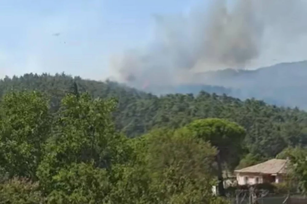 Çankırı'da çıkan orman yangınına müdahale sürüyor
