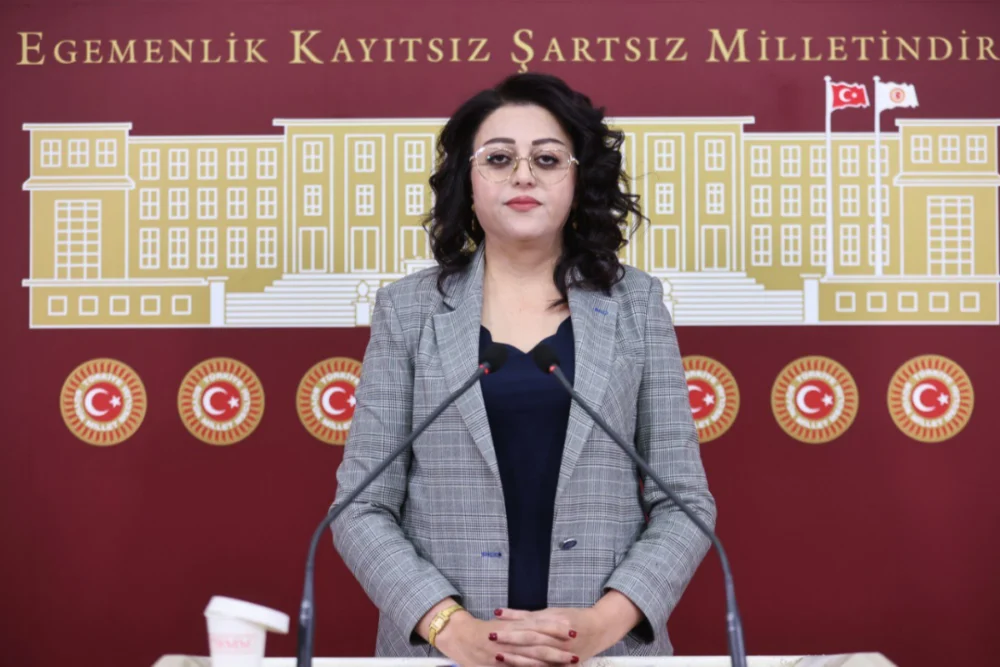 DEM Partili Öznur Bartin: “Hakkari’de çok boyutlu yaşam ve gelecek sorunu araştırılsın”