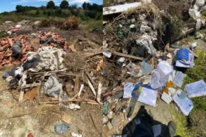 Sermayeye alan, doğaya yıkım: COP31’in gerçek yüzü
