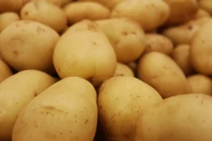 Diyarbakır’da ‘patates yolsuzluğu’