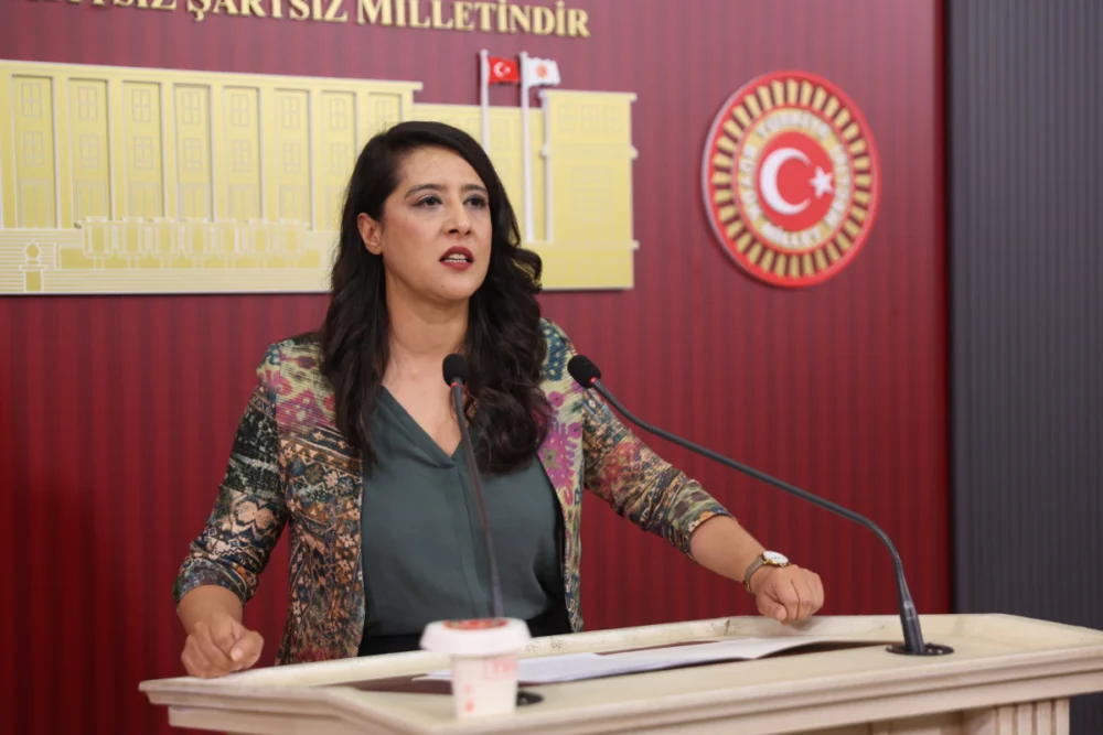 EMEP’li Sevda Karaca: İktidarın ekonomi programı emekçileri yaşamlarına son verme noktasına sürüklüyor