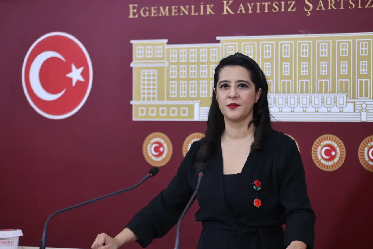 EMEP Milletvekili Karaca’dan “Filo Jet” faciası için soru önergesi: “İdari, siyasi ve ticari sorumluluklar araştırılsın”