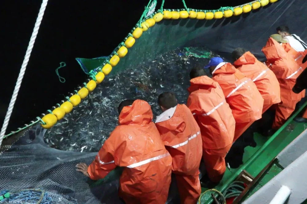 Yeni av sezonu başladı: İstanbul'da balıkçılar denize açıldı