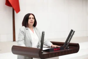 DEM Parti’li Çelenk, İliç maden faciasını Meclis gündemine taşıdı: ‘İki buçuk yılı aşkın süre geçti, facianın çevresel sonuçları hâlâ belirsiz’