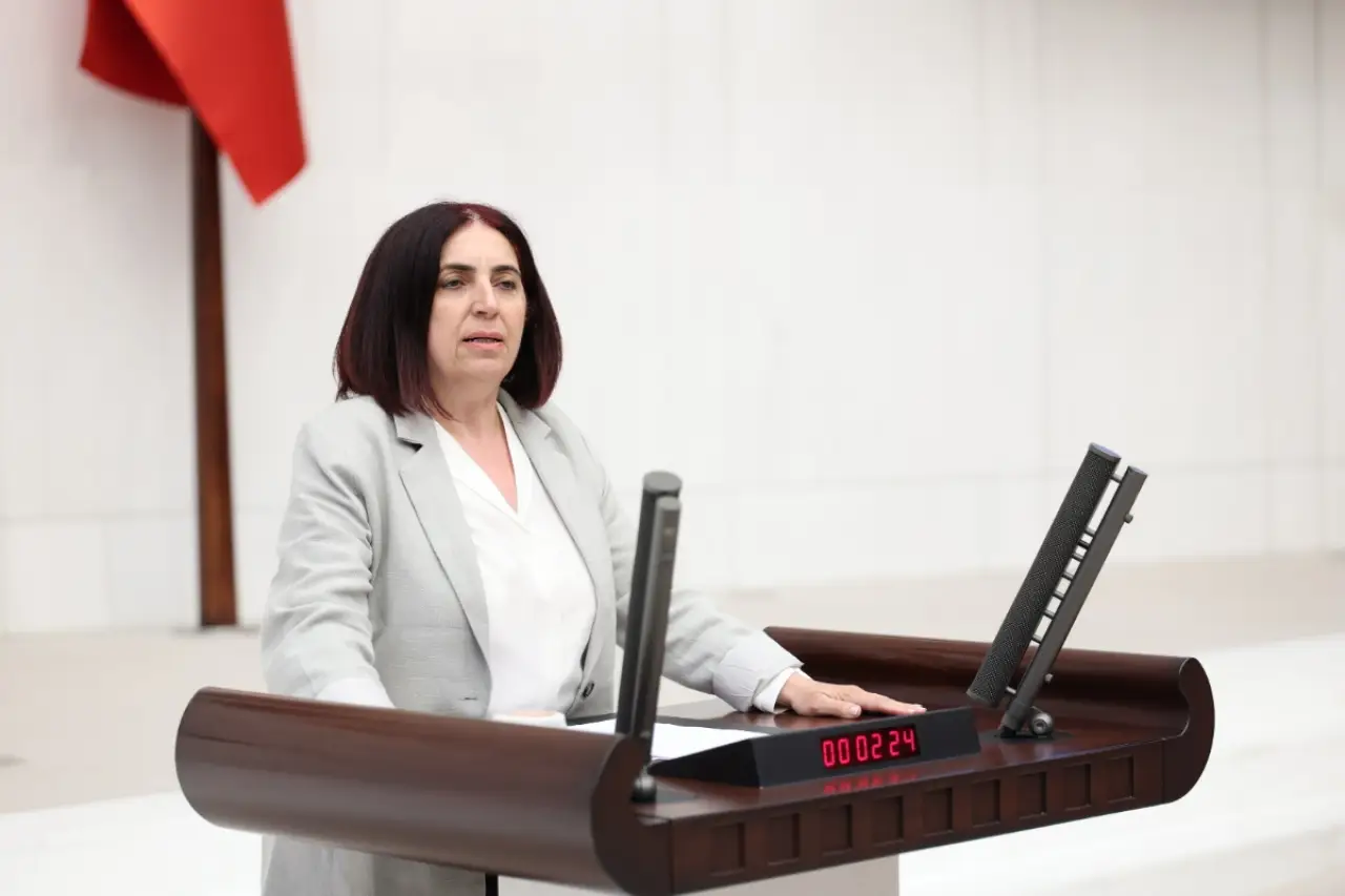 DEM Parti’li Çelenk, İliç maden faciasını Meclis gündemine taşıdı: ‘İki buçuk yılı aşkın süre geçti, facianın çevresel sonuçları hâlâ belirsiz’