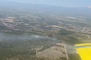 Manisa Soma'da orman yangını