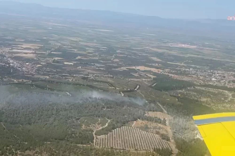 Manisa Soma'da orman yangını